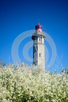 Phare des Baleines in summertime