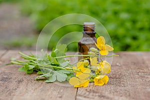 pharmaceutical bottle of medicine from Yellow flowers of Chelidonium majus, celandine, nipplewort, swallowwort or tetterwort on a