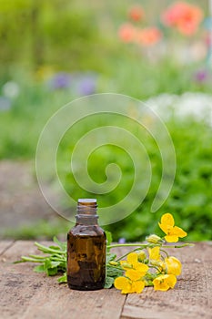 pharmaceutical bottle of medicine from Yellow flowers of Chelidonium majus, celandine, nipplewort, swallowwort or tetterwort on a