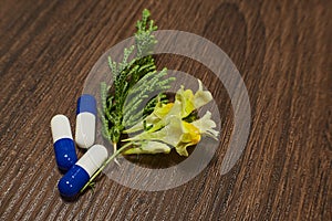 Pharmaceutical nutraceutical compounding packaging photo