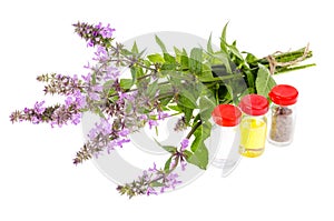 Pharmaceutical tincture, extract of wild herbs, medicinal flowers in medical bottles