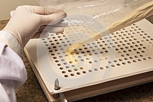 Pharmaceutical using encapsulating plate for the production of homeopathic or allopathic remedies