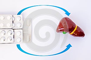 Pharmacological treatment, enzyme, bile or hormone replacement therapy of diseases of liver or biliary tract. Figure of liver with photo