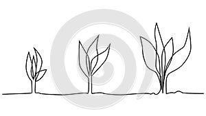 Phase of plant life continuous one line drawing minimalist illustration from seed and leaves