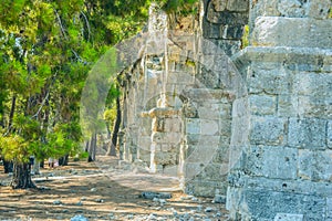 Phaselis in Antalya, Turkey photo