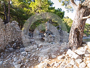 Phaselis, beautiful greek ruins in forest