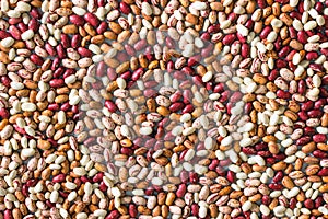 Phaseolus. Bright multi-colored beans. Background