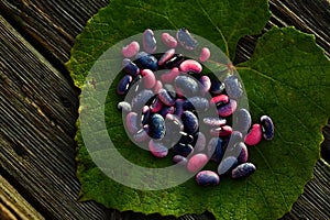 Phaseolus coccineus. Leguminosae. Scarlet runner beans on leaves