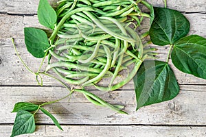 Phaseolus vulgaris green common beans on wooden table with leaves