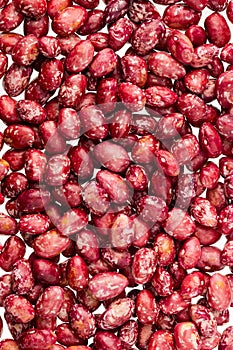 Phaseolus vulgaris pinto - fresh pinto bean seeds photo