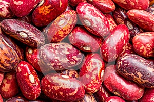 Phaseolus Vulgaris Or Red Beans