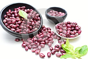 Phaseolus vulgaris Red beans displayed in different containers