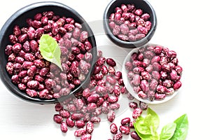 Phaseolus vulgaris Red beans displayed in different containers
