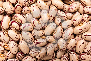 Sugar Bean legume. Closeup of grains, background use. photo