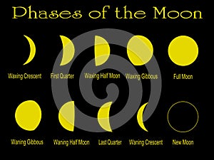 Phases of the Moon