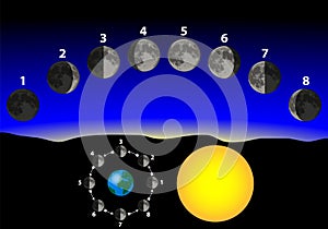 Phases of the moon