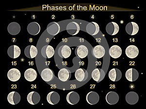 Phases of the Moon