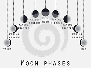 The phases of the moon. Lunar phase. Moon stages. Vector