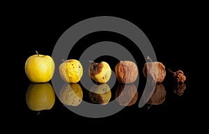 Phases of the rotting yellow apple.