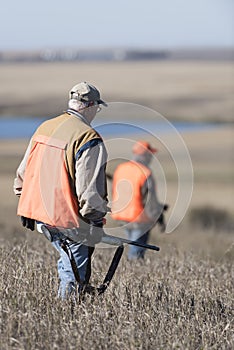 Pheasant hunter in field in North Dakota