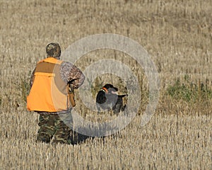 A Pheasant Hunter and his dog