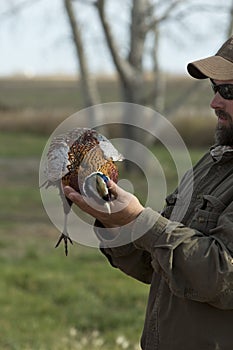 Pheasant Hunter