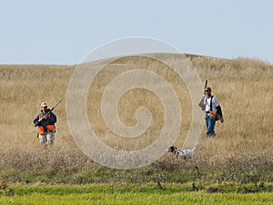 Pheasant Hunting