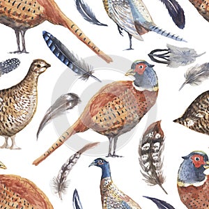 Pheasant partridge bird feathers watercolor  illustration. Print textile vintage patern seamless clipart set