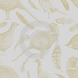 Pheasant partridge bird feathers watercolor illustration. Print textile vintage patern seamless clipart set