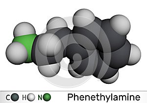 Phenethylamine, PEA molecule. It is monoamine alkaloid, central nervous system stimulant in humans. Molecular model. 3D rendering