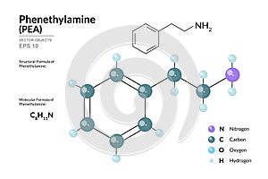Phenethylamine PEA. Structural Chemical Formula and 3d Model of Molecule. C8H11N. Atoms with Color Coding. Vector graphic