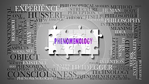 Phenomenology as a complex subject, related to important topics spreading around as a word cloud. ,3d illustration photo