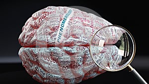 Phenomenology in human brain photo