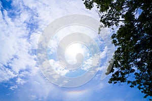 The phenomenon of the sun`s halo causes the refraction and reflection of light to be seen as rainbow stripes