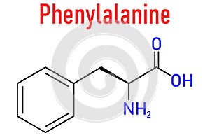 Phenylalanine or L-phenylalanine, Phe, F, amino acid molecule. Skeletal formula. photo