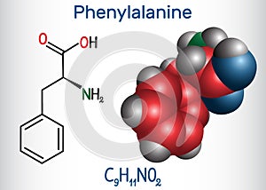 Phenylalanine L- phenylalanine, Phe , F amino acid molecule. Structural chemical formula and molecule model photo