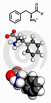 Phenylalanine Phe, F amino acid, molecular model.