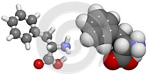 Phenylalanine (Phe, F) molecule