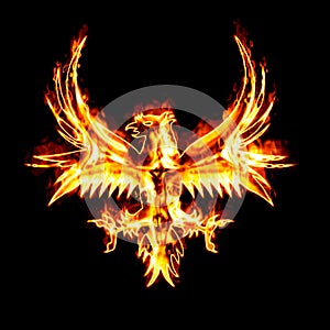 Pheonix