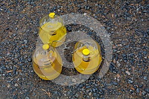 Pheromone fly traps on the ground photo