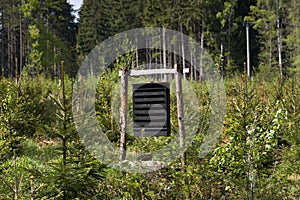 Pheromone trap against ips typographus in the middle spruce forest photo