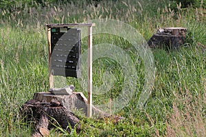 Pheromone trap for bark beetle in grass on meadow near forest