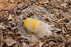 Pheromone trap to attract the Mediterranean fly or Ceratitis Capitata that is used and discarded