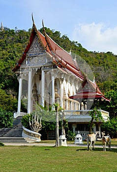 Phetchaburi, Thailand: Tum Khao Temple photo