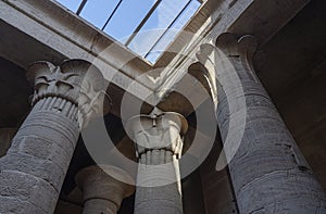 Phiale Temple - Interior Art - Egyptology