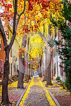 Philadelphia Autumn Streets photo