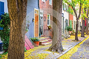 Philadelphia, Pennsylvania, USA Autumn Neighborhood Streets