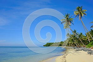 Philippine Beach with palm trees