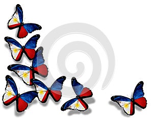 Philippine flag butterflies, isolated on white
