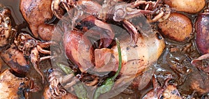 Philippine Food Recipe: Adobo Squid Seafood